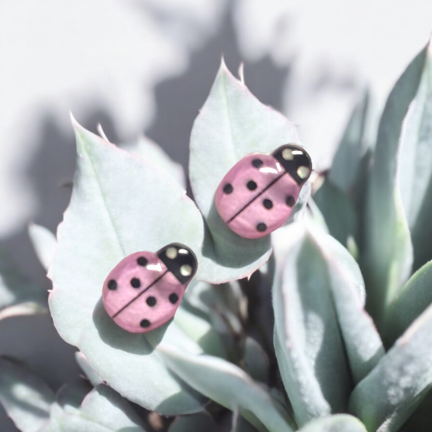 Ladybird Studs